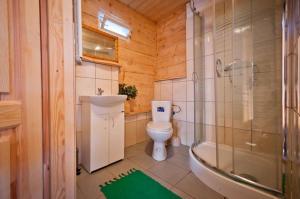 een badkamer met toilet, douche en wastafel bij Domki u Ciaptoka in Zakopane +26 foto's