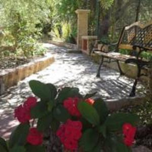 Κήπος έξω από το Oasi delle Madonie +9 φωτογραφίες