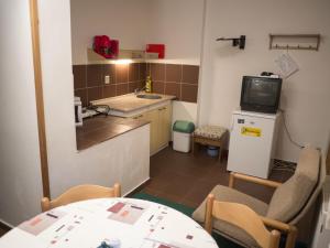 Kuchyň nebo kuchyňský kout v ubytování Apartmany Harrachov