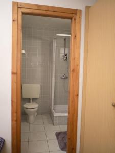 Koupelna v ubytování Apartmany Harrachov + 21 fotografií