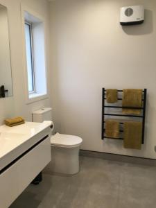 a bathroom with a toilet and a sink and a mirror at Lakeview Terrace Accommodation in Cromwell +12 photos