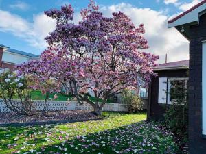 Gallery image of Rose Homey Home in Glenorchy