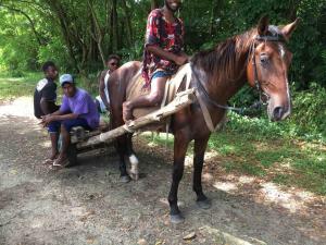 a man riding on the back of a horse at Aore Hibiscus Retreat in Aimbuei Bay