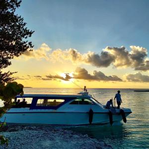 Landskap semula jadi dekat dengan resort