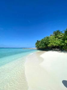 a beach with palm trees and a blue sky at Makunudu Island in Makunudhoo