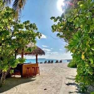 Landskap semula jadi dekat dengan resort