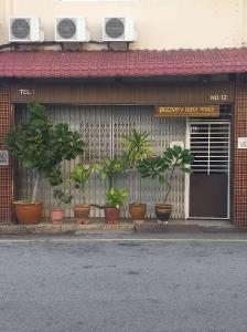 a group of potted plants on the side of a building at Discovery Youth Hostel Malacca in Melaka