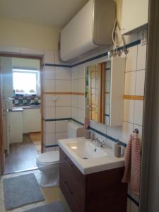 bagno con lavandino, servizi igienici e specchio di V4 Kilátóterasz Apartmanok Földszint a Nagymaros
