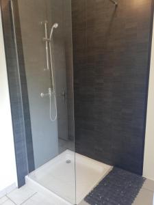 a shower stall with a glass door with a black rug at Le gîte des Mégalithes in Le Bernard