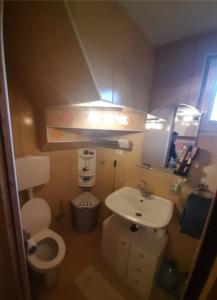 a small bathroom with a toilet and a sink at Vikendica za odmor Raduša in Tešanj