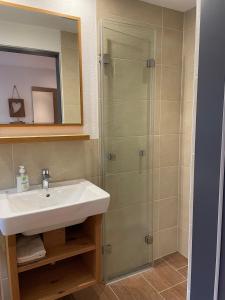 La salle de bains est pourvue d'un lavabo et d'une douche. dans l'établissement Appartement Krepper, à Erpfendorf