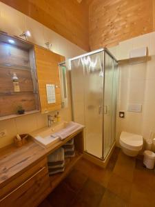 ein Bad mit einer Dusche, einem Waschbecken und einem WC in der Unterkunft Damülser Holzhus in Damüls