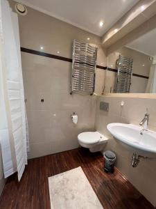 W łazience znajduje się umywalka, toaleta i lustro. w obiekcie Komfortowe mieszkanie dla 4 osób w Siedlcach