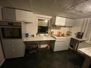 eine kleine Küche mit weißen Schränken und einem Waschbecken in der Unterkunft "Ruhige Naturlage im Wald" Ferienhaus mit Sauna in Großnaundorf