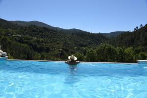 a person sitting in a swimming pool in the mountains at Casa de Caneiro in Cabeceiras de Basto