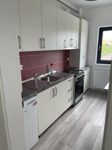 Cuisine ou kitchenette dans l'établissement Apartament Drobeta