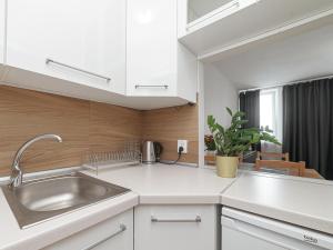 Kuchyňa alebo kuchynka v ubytovaní Sliska 10 Apartament II