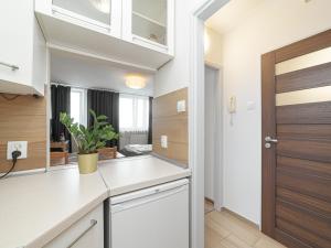 Kuchyňa alebo kuchynka v ubytovaní Sliska 10 Apartament II