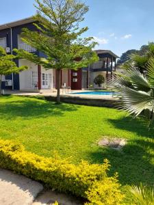 a green yard with a tree and a building at Top Lodge in Blantyre in Blantyre