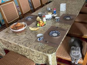 eine Katze, die auf einem Tisch mit Essen sitzt in der Unterkunft Art Guest House USTO in Buxoro