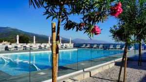 - une vue sur la piscine bordée de chaises et d'arbres dans l'établissement hôtel résidence a torra, à Vescovato