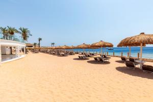 Meraki Resort Sharm El Sheikh Adults only في شرم الشيخ: شاطئ به كراسي ومظلات والمحيط