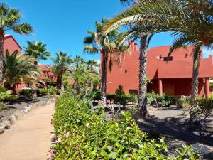 a red building with palm trees and a pathway at Sweet Home by Sea You There Fuerteventura in Corralejo