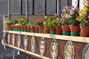 Foto Katmandus asuva majutusasutuse Tibet Guest House galeriist