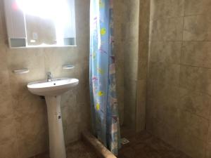 a bathroom with a sink and a shower with a mirror at Departamento tranquilo in Gualeguaychú