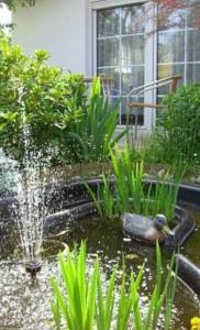 a bird sitting in a pond with a fountain at Ferienhaus in Kühlungsborn in Kühlungsborn +1 photo