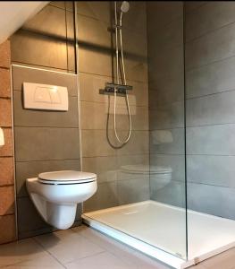 een badkamer met een toilet en een glazen douche bij Alfie’s home in Malmedy