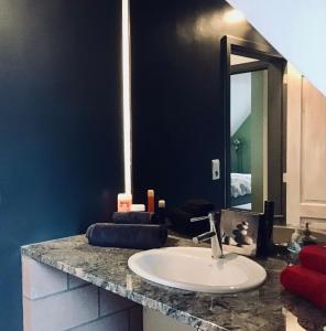 een badkamer met een wastafel en een spiegel bij Alfie’s home in Malmedy