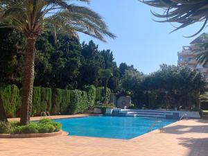 Una piscina con una palmera y un edificio. en Jardines Del Puerto, en Denia
