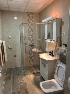 Apartman Diamond في باراسين: حمام مع دش ومرحاض ومغسلة
