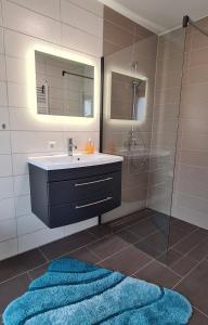 a bathroom with a sink and a glass shower at Auf dem Reiterhof in Wernigerode +8 photos