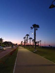 a sidewalk with palm trees on the side of a street at Casa Matilda in Porto SantʼElpidio