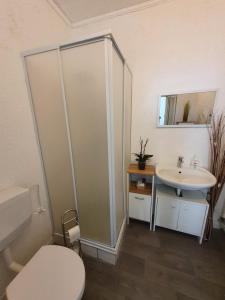 a bathroom with a shower and a toilet and a sink at Ferienwohnung in Gersheim / bis 4 Personen in Gersheim