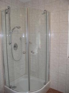 a shower with a glass door in a bathroom at Haus Waldfriede in Pertisau +16 photos