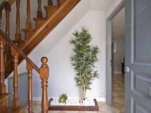 a staircase with two potted plants on the wall at Casa em Lisboa in Lisbon