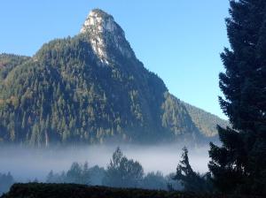 Ein Berg im Nebel mit Bäumen davor in der Unterkunft Villa BeLucky in Oberammergau