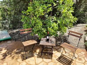 Ogród w obiekcie Casa De Chenil - Caminito del Rey
