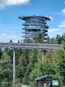 a observation tower in the middle of a park at Ferienwohnung Maggie - Sankt Englmar in Sankt Englmar