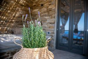 A balcony or terrace at Aerino Seaside