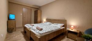 - une chambre avec un lit et une télévision dans l'établissement Park 84 Vendégház, à Vecsés