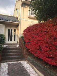 Сад в 澄心小筑 房东住一楼 客人住二楼 每天只接一组客人 雄琴车站免费接送 提供一台免费停车位