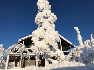 a snow covered christmas tree in front of a house at Villa Castillo in Saariselka