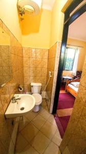 a bathroom with a toilet and a sink at Acacia Tree Apartments Marangu in Marangu