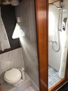 La petite salle de bains est pourvue d'une douche et de toilettes. dans l'établissement Amsterdam Boat & Breakfast, à Amsterdam