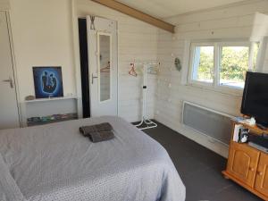 una camera con letto e televisore di Chez Daniel & Catherine a La Chevrolière