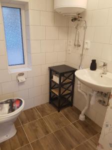een badkamer met een wastafel en een toilet bij Raselund Gård in Vinninga